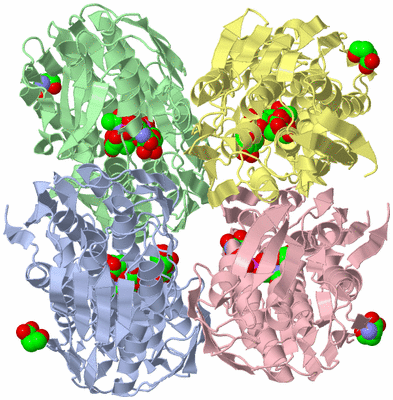 Image Asym./Biol. Unit