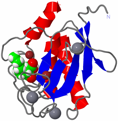 Image NMR Structure - model 1