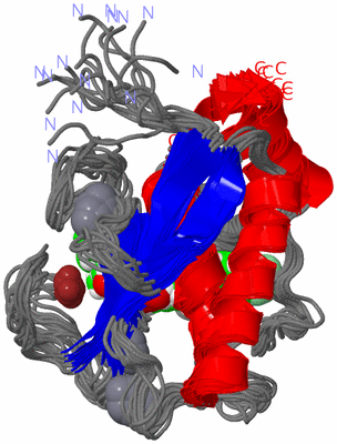 Image NMR Structure - all models