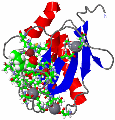 Image NMR Structure - model 1, sites