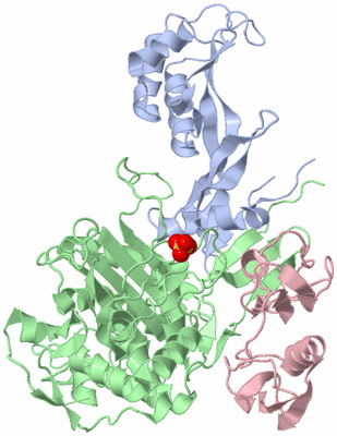 Image Biological Unit 1