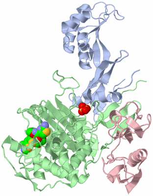 Image Biological Unit 1