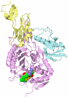 Image Biological Unit 2