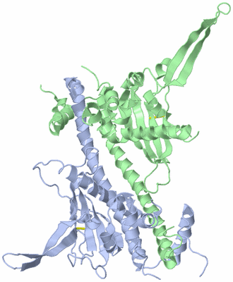 Image Asym./Biol. Unit