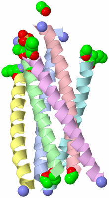 Image Asym./Biol. Unit