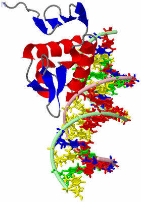 Image NMR Structure - model 1