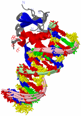 Image NMR Structure - all models