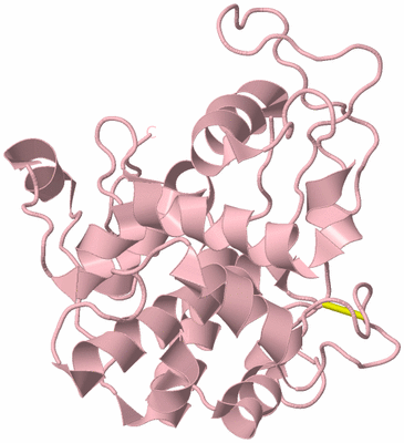 Image Biological Unit 3