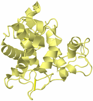 Image Biological Unit 4