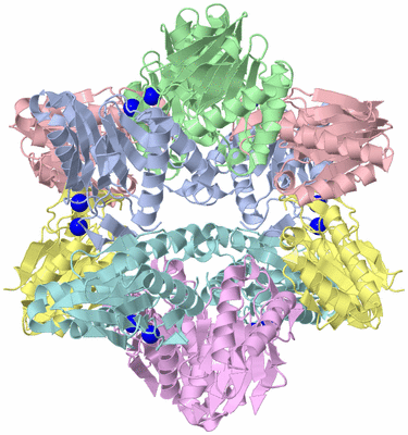 Image Biological Unit 1