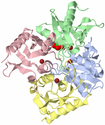 Image Asym./Biol. Unit