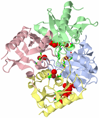 Image Asym./Biol. Unit - sites