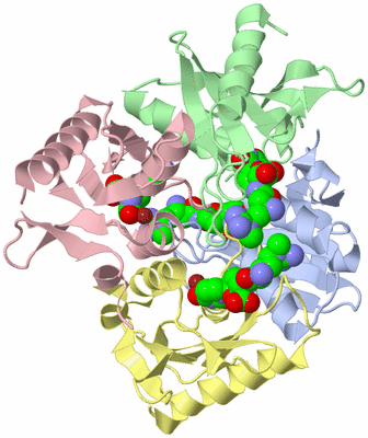 Image Asym./Biol. Unit