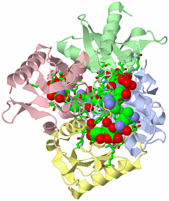 Image Asym./Biol. Unit - sites