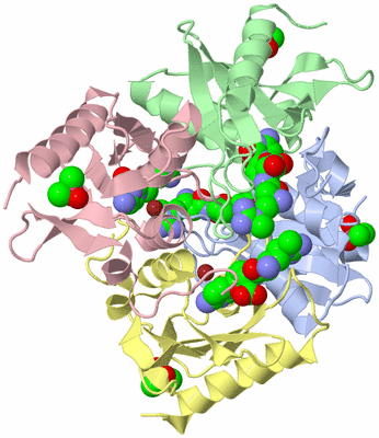 Image Asym./Biol. Unit