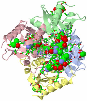 Image Asym./Biol. Unit - sites