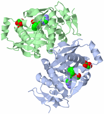 Image Asym./Biol. Unit