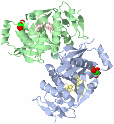 Image Asym./Biol. Unit