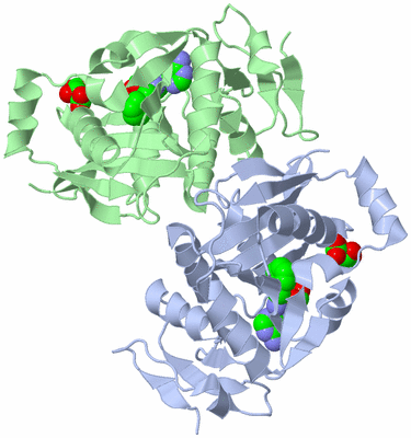 Image Asym./Biol. Unit