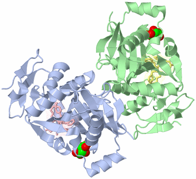 Image Asym./Biol. Unit