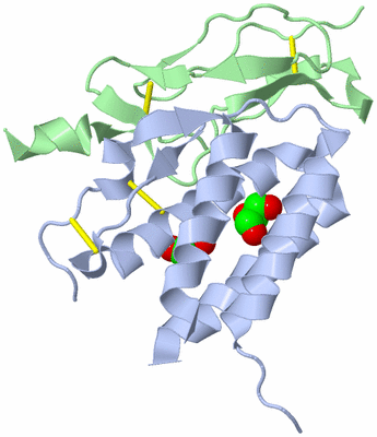 Image Biological Unit 1