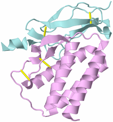 Image Biological Unit 3