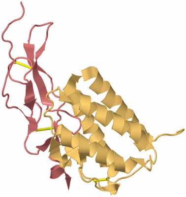 Image Biological Unit 4