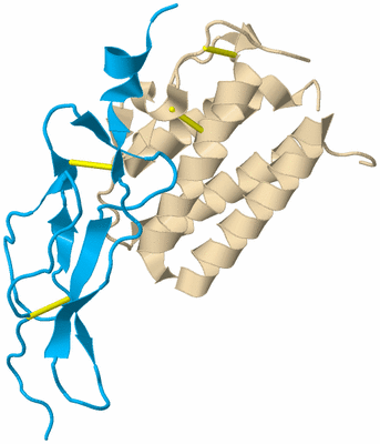 Image Biological Unit 5