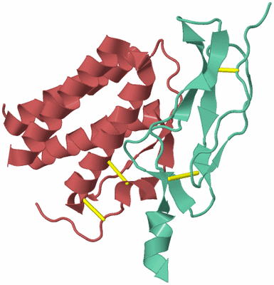 Image Biological Unit 6