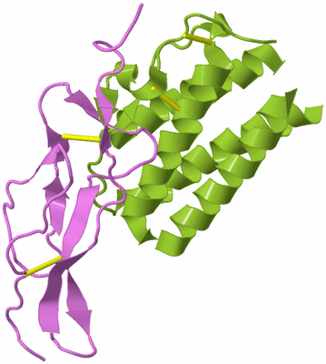 Image Biological Unit 7