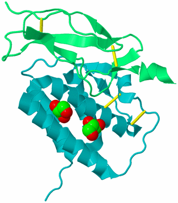 Image Biological Unit 8