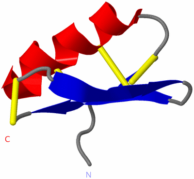 Image NMR Structure - model 1