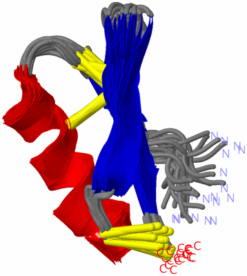 Image NMR Structure - all models