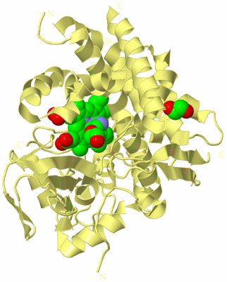 Image Biological Unit 4