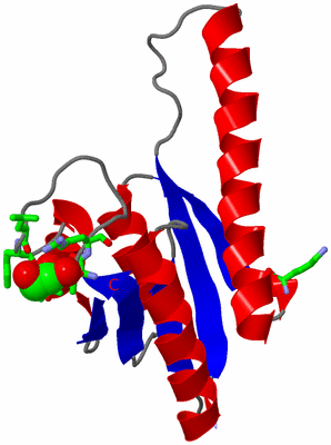 Image Asym. Unit - sites