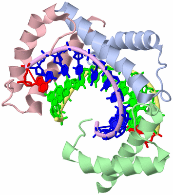 Image Asym./Biol. Unit