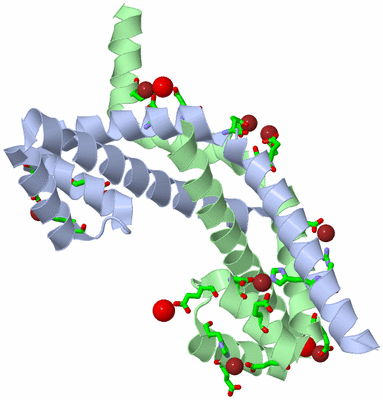 Image Asym./Biol. Unit - sites