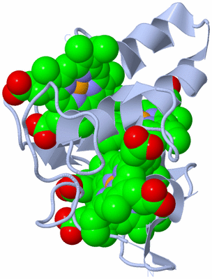 Image Biological Unit 1