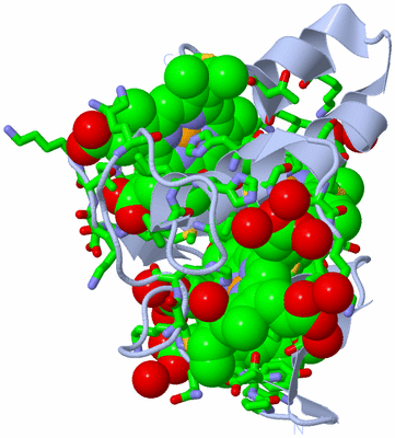 Image Biol. Unit 1 - sites