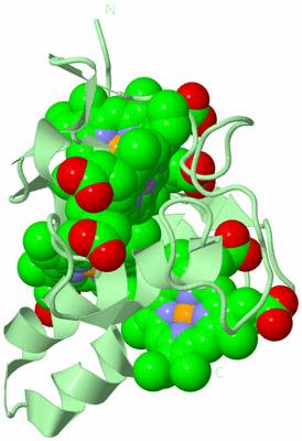 Image Biological Unit 2