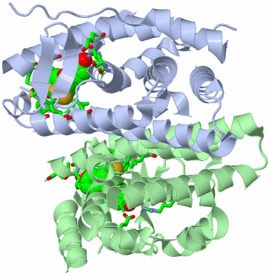 Image Asym./Biol. Unit - sites