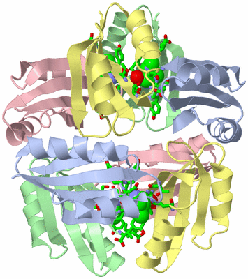 Image Biol. Unit 1 - sites