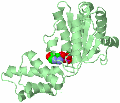 Image Biological Unit 2