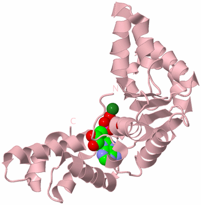Image Biological Unit 3