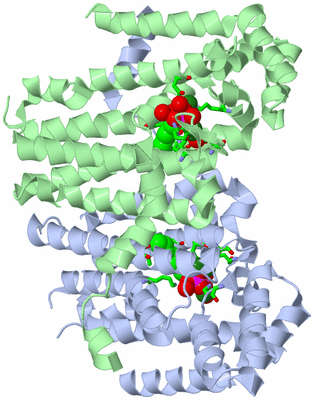 Image Asym./Biol. Unit - sites