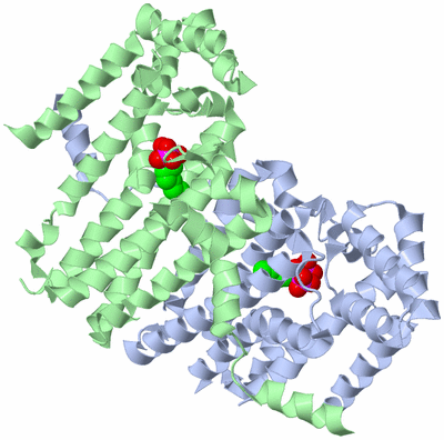 Image Asym./Biol. Unit