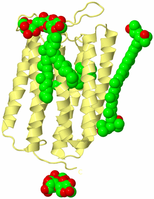 Image Biological Unit 3