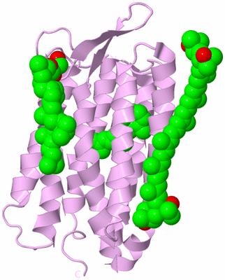 Image Biological Unit 4