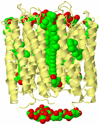 Image Biological Unit 5