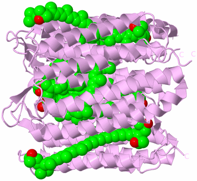 Image Biological Unit 6